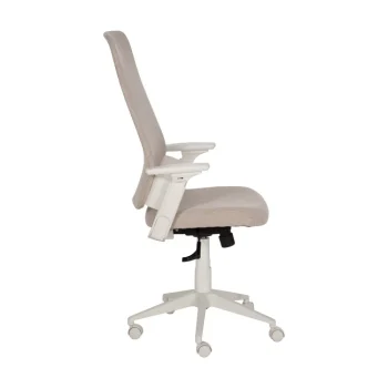 IXIA Sillas De Oficina^Silla De Oficina O Escritorio Elevable Beige 67,50 X 114,5 - 124 X 62 Cm